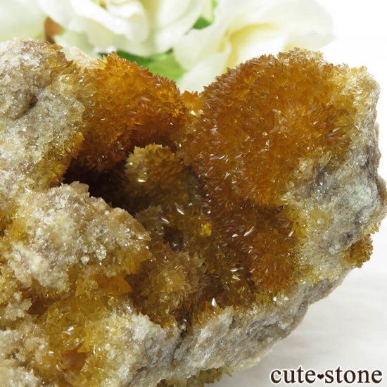 ʻ ո륵ȤΥ饹ʸС174gμ̿2 cute stone