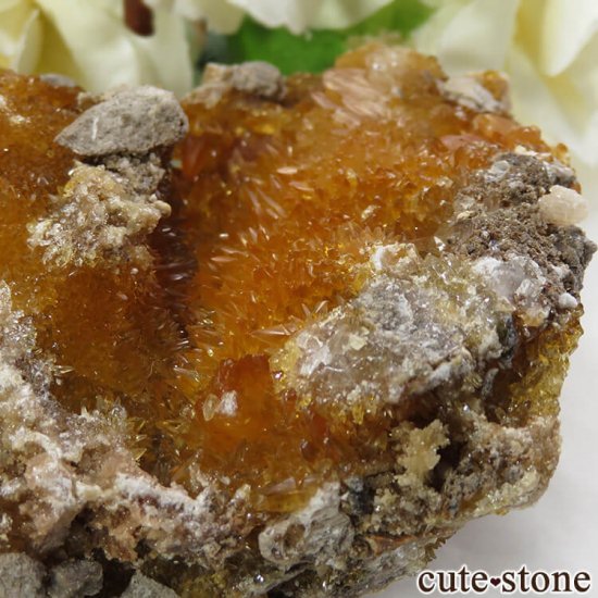 ʻ ո륵ȤΥ饹ʸС137gμ̿2 cute stone