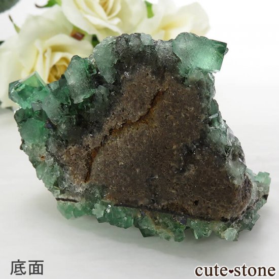 󥰥 Diana Mariaۻ ָե饤Ȥդ뾽ʸС120gμ̿5 cute stone