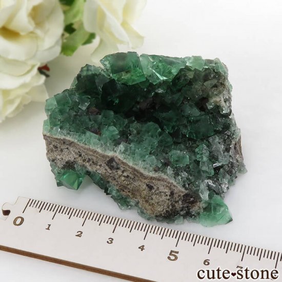 󥰥 Diana Mariaۻ ָե饤Ȥդ뾽ʸС120gμ̿6 cute stone