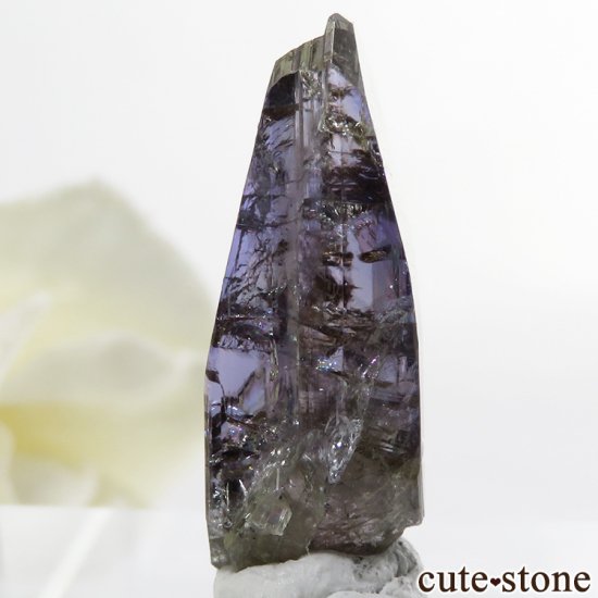 ˻ 󥶥ʥ(֥롼)η뾽ʸС9.9ctμ̿2 cute stone