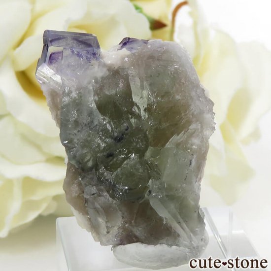 䥪󥷥 ֥롼ե饤Ȥɸ 16.1gμ̿1 cute stone