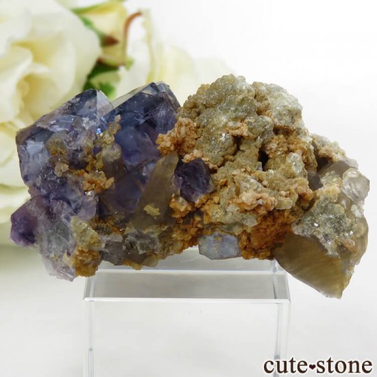 䥪󥷥 ֥롼ե饤Ȥθ 41.9gμ̿0 cute stone