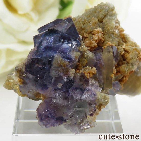 䥪󥷥 ֥롼ե饤Ȥθ 41.9gμ̿4 cute stone