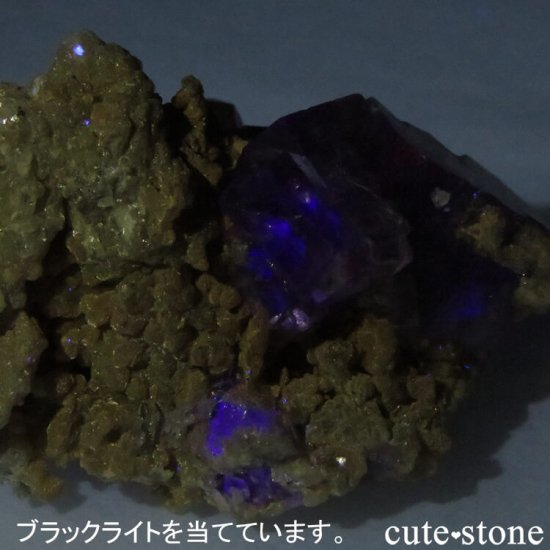 䥪󥷥 ֥롼ե饤Ȥθ 41.9gμ̿5 cute stone