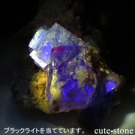 䥪󥷥 ֥롼ե饤Ȥθ 41.9gμ̿6 cute stone