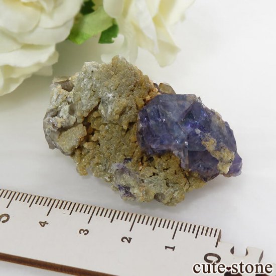 䥪󥷥 ֥롼ե饤Ȥθ 41.9gμ̿7 cute stone