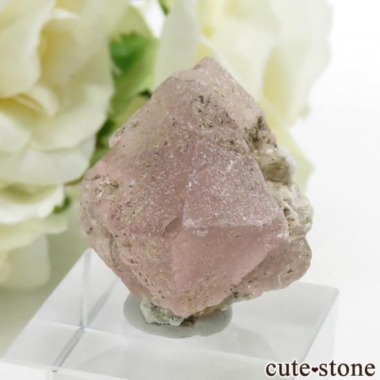 ѥ ɥ ԥ󥯥ե饤Ȥθ 15.3gμ̿0 cute stone