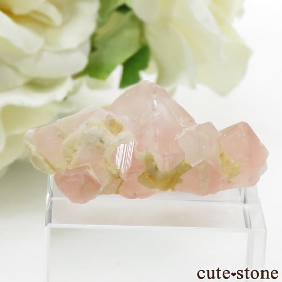 ѥ ɥ ԥ󥯥ե饤Ȥθ 9.1gμ̿0 cute stone