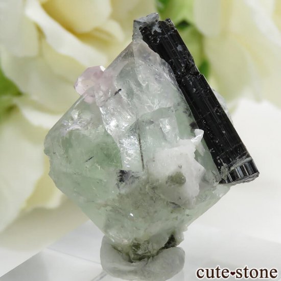 ѥ ɥ ꡼ե饤ȡԥ󥯥ѥȡ֥åȥޥμ̿0 cute stone