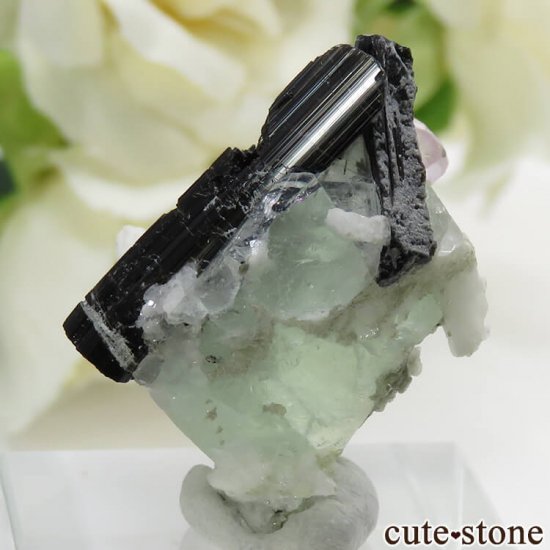 ѥ ɥ ꡼ե饤ȡԥ󥯥ѥȡ֥åȥޥμ̿1 cute stone