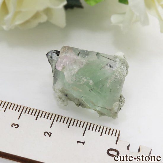 ѥ ɥ ꡼ե饤ȡԥ󥯥ѥȡ֥åȥޥμ̿3 cute stone