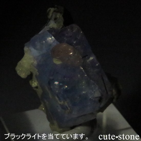 ѥ ɥ ꡼ե饤ȡԥ󥯥ѥȡ֥åȥޥμ̿4 cute stone