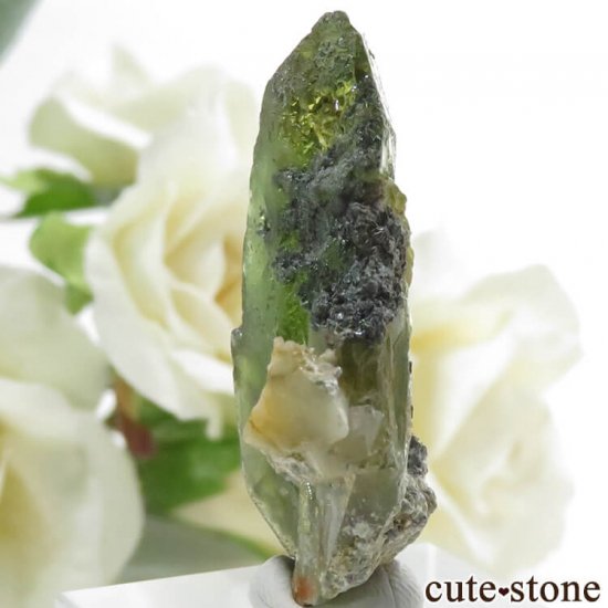 ѥ ɥ ե礭ʷ뾽 () 9.7gμ̿2 cute stone