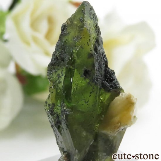 ѥ ɥ ե礭ʷ뾽 () 9.7gμ̿4 cute stone