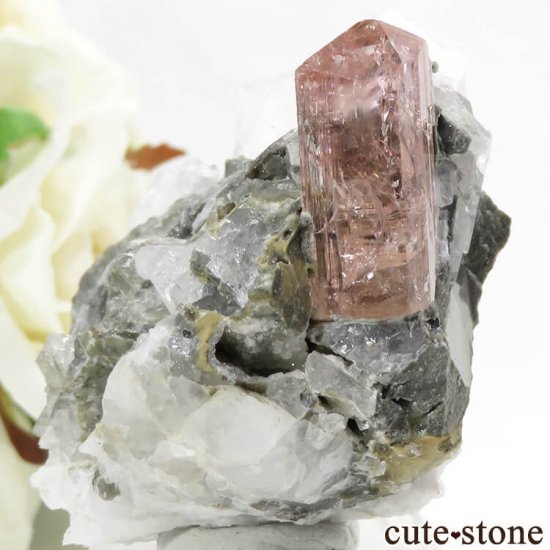 ѥ åȥ ԥ󥯥ȥѡ (ڥꥢȥѡ)դ뾽 ()μ̿0 cute stone