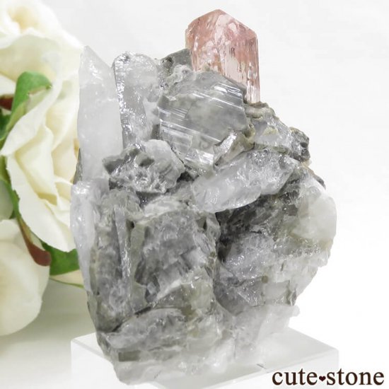 ѥ åȥ ԥ󥯥ȥѡ (ڥꥢȥѡ)դ뾽 ()μ̿1 cute stone
