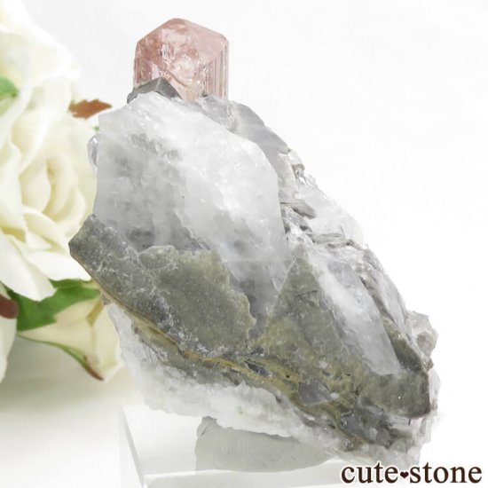 ѥ åȥ ԥ󥯥ȥѡ (ڥꥢȥѡ)դ뾽 ()μ̿2 cute stone