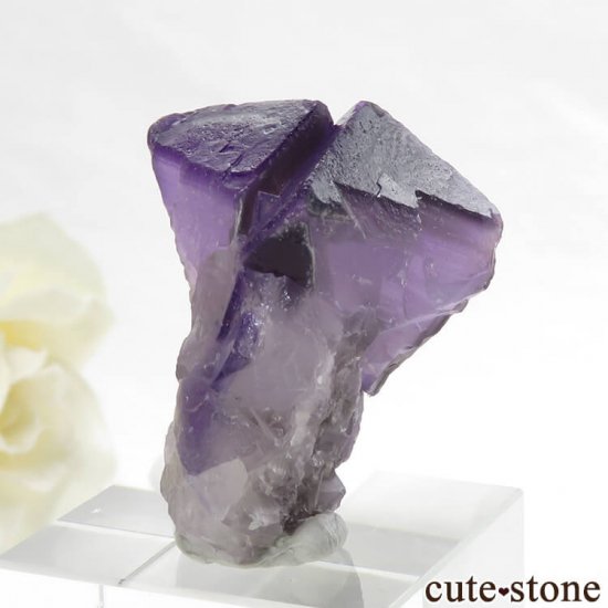  ʻ ѡץե饤Ȥη뾽ʸС 20.2gμ̿0 cute stone