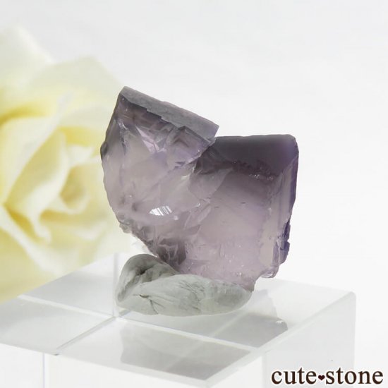  ʻ ѡץ졼ե饤Ȥη뾽ʸС 8.6gμ̿0 cute stone