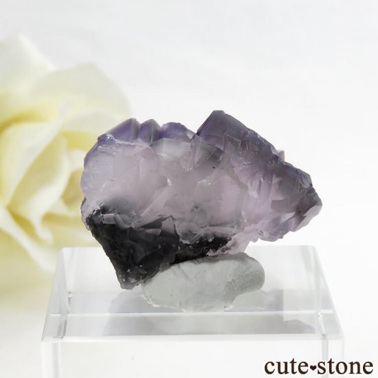  ʻ ѡץ졼ե饤Ȥη뾽ʸС 9.9gμ̿0 cute stone