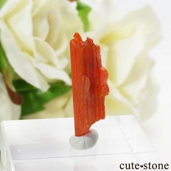 クロコアイト 紅鉛鉱 鉱物標本 原石 天然石 ストーン タスマニア E7883