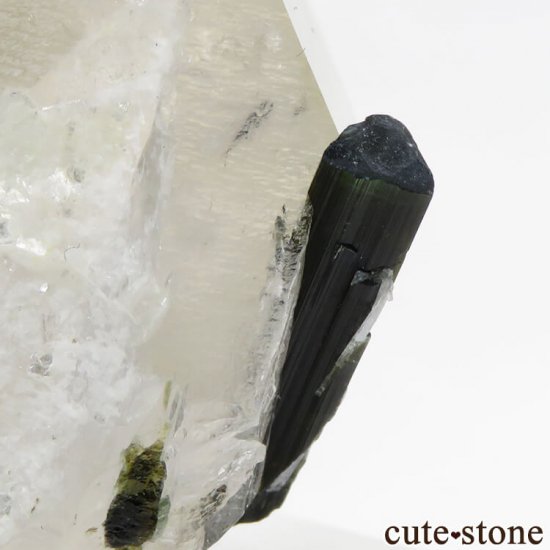 ѥ Х顼ȥޥ徽ζɸܡʸС19.6gμ̿1 cute stone