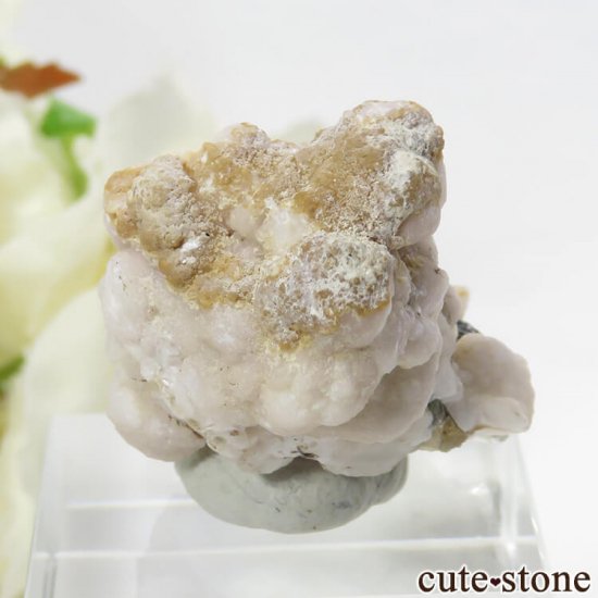 パキスタン産 バイカラートルマリンの母岩付き結晶（原石）13.5g - cute stone