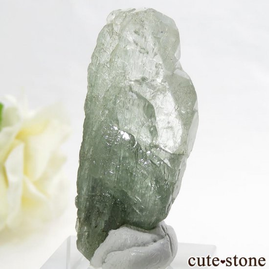 ѥ ɥ 顼쥹ѥȤη뾽ʸС 17.7gμ̿1 cute stone