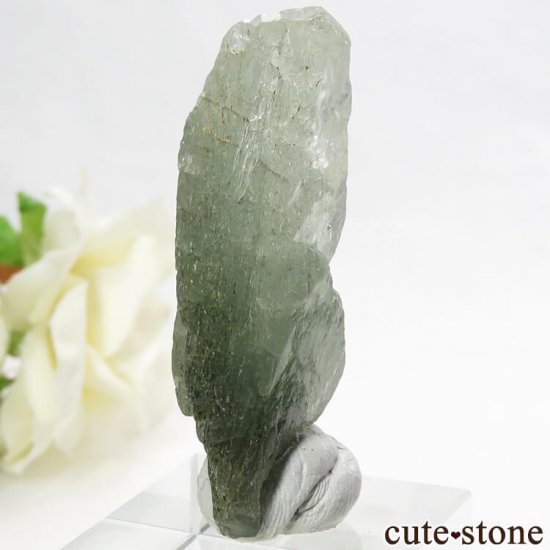 ѥ ɥ 顼쥹ѥȤη뾽ʸС 17.7gμ̿2 cute stone