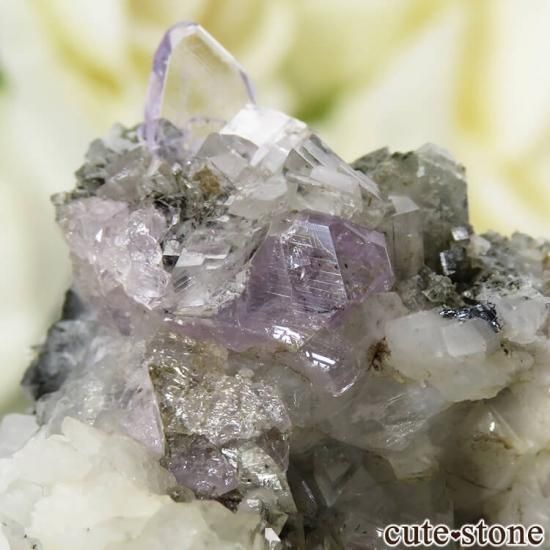 ѥ ɥ ѡץ륢ѥȤդ뾽ʸС 19.8gμ̿0 cute stone