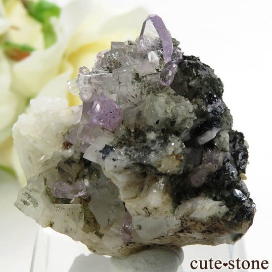 ѥ ɥ ѡץ륢ѥȤդ뾽ʸС 19.8gμ̿1 cute stone