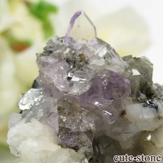 ѥ ɥ ѡץ륢ѥȤդ뾽ʸС 19.8gμ̿2 cute stone