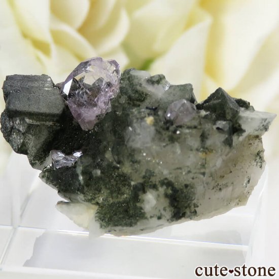 ѥ ɥ ѡץ륢ѥȤդ뾽ʸС 7.7gμ̿0 cute stone