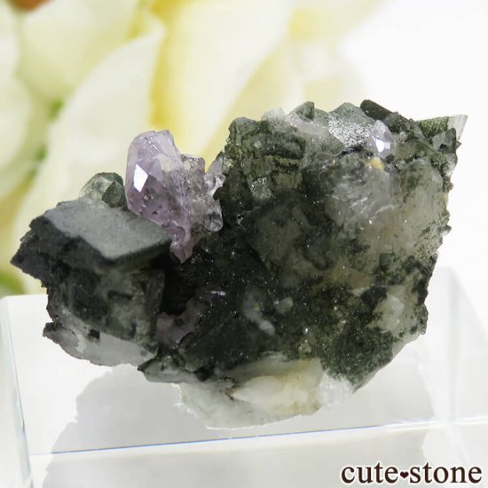 ѥ ɥ ѡץ륢ѥȤդ뾽ʸС 7.7gμ̿1 cute stone