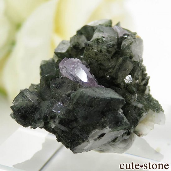 ѥ ɥ ѡץ륢ѥȤդ뾽ʸС 7.7gμ̿2 cute stone