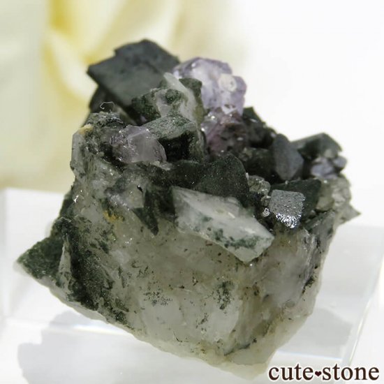 ѥ ɥ ѡץ륢ѥȤդ뾽ʸС 7.7gμ̿5 cute stone