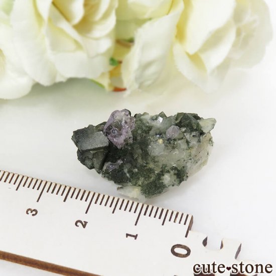 ѥ ɥ ѡץ륢ѥȤդ뾽ʸС 7.7gμ̿6 cute stone