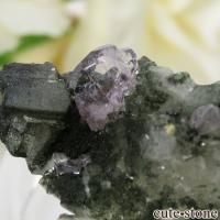 ѥ ɥ ѡץ륢ѥȤդ뾽ʸС 7.7gβ