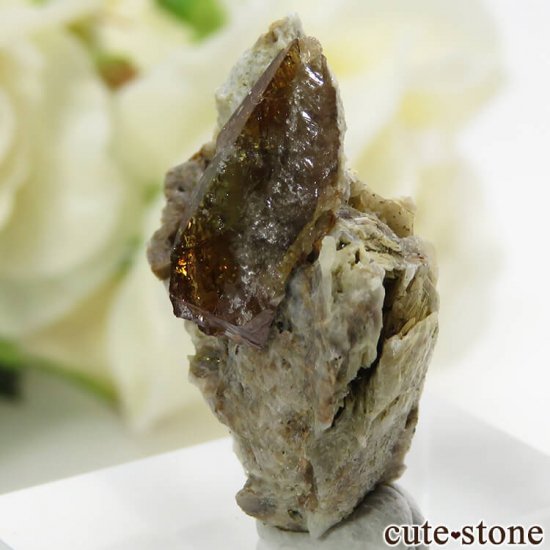 ѥ ɥ եդ뾽 () 4.3gμ̿0 cute stone