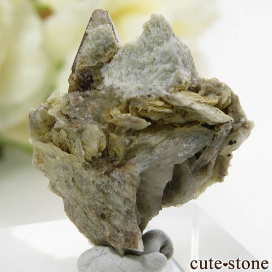 ѥ ɥ եդ뾽 () 4.3gμ̿1 cute stone