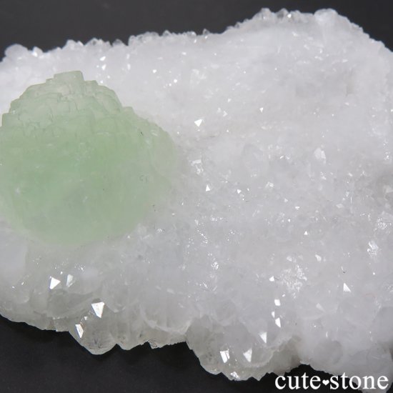  ʻ ե饤ȡĤζɸܡʸС52gμ̿1 cute stone