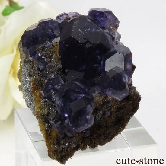  ʡʻѡץ֥롼ե饤Ȥη뾽ʸС 32gμ̿0 cute stone