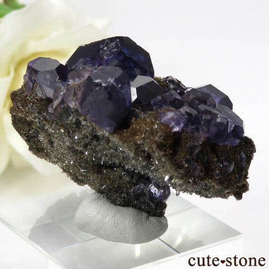  ʡʻѡץ֥롼ե饤Ȥη뾽ʸС 32gμ̿1 cute stone