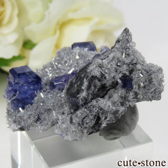  ʡʻѡץ֥롼ե饤Ȥη뾽ʸС 25gμ̿0 cute stone