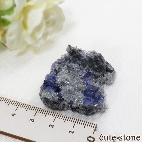  ʡʻѡץ֥롼ե饤Ȥη뾽ʸС 25gμ̿5 cute stone
