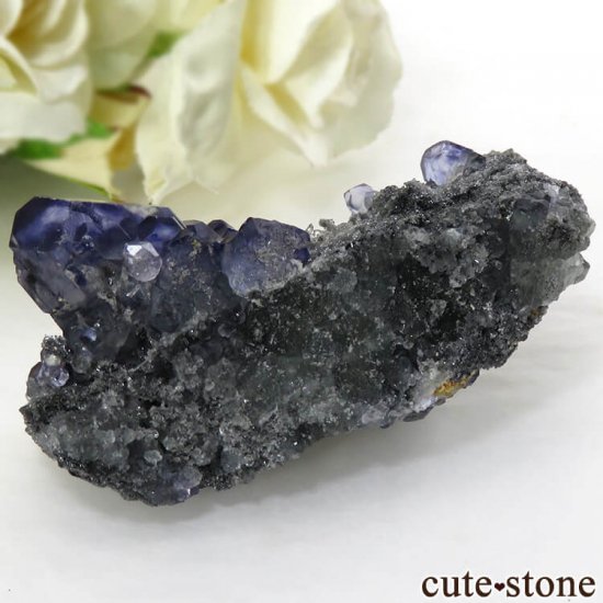  ʡʻѡץ֥롼ե饤Ȥη뾽ʸС 44.7gμ̿0 cute stone