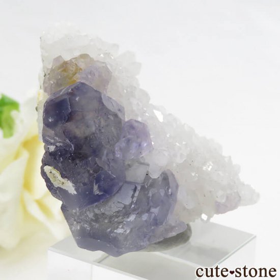  ʡʻѡץ֥롼ե饤Ȥη뾽ʸС 46.5gμ̿0 cute stone
