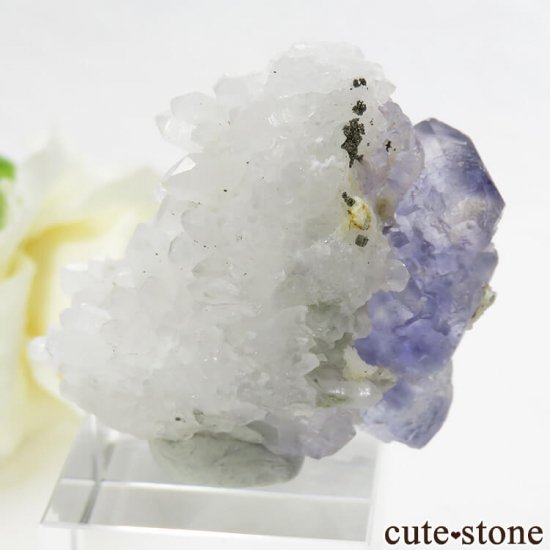  ʡʻѡץ֥롼ե饤Ȥη뾽ʸС 46.5gμ̿1 cute stone