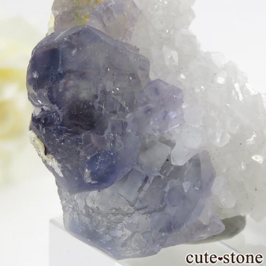  ʡʻѡץ֥롼ե饤Ȥη뾽ʸС 46.5gμ̿3 cute stone
